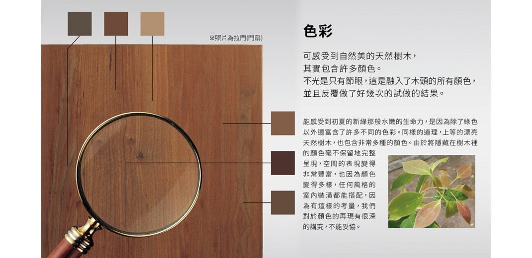 可以感受到自然美的天然樹木，其實包含許多顏色。